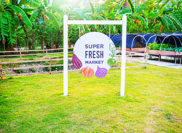 cnc machine 1 máquina cnc 1