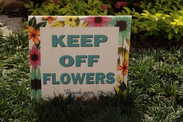 cnc machine 2 máquina cnc 2