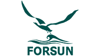 Jinan Forsun CNC Machinery Co., Ltd